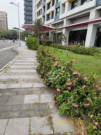 竹東法拍大樓-5